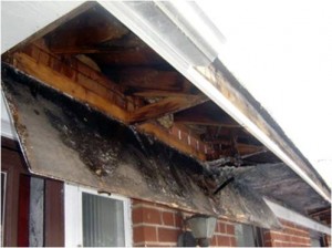 clogged gutter water damage